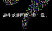 高州龙眼再续“嘉”缘，6月28日约你来尝盛夏甜蜜